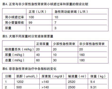 宠物猫咪肌酐指标过高，如何应对（了解肌酐指标的含义和影响）