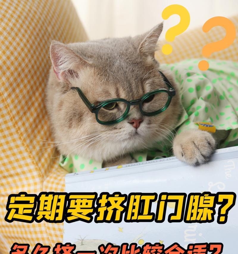 猫咪挤肛门腺视频教程（学会正确挤肛门腺）