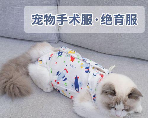 为什么要给猫咪绝育公猫上门（掌握5个重要的绝育知识点）