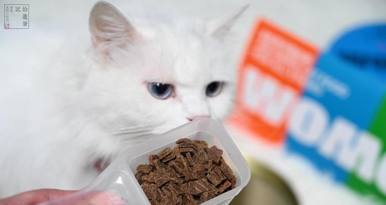 猫咪的饮食需求与牛肉的营养价值（探究猫咪是否能够食用牛肉）