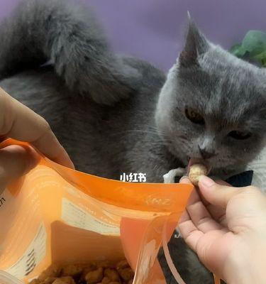 猫咪能否食用羊肉（揭秘猫咪饮食中的禁忌和适宜）