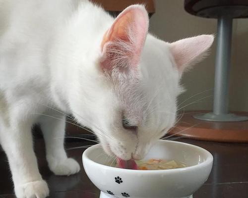 宠物猫是否能吃鱼片（了解猫咪饮食习惯）