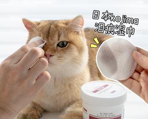 猫咪泪痕去除的方法与技巧（宠物爱好者必知的护理技巧）