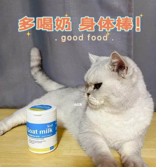 猫咪奶粉购买指南（如何选购优质猫咪奶粉）