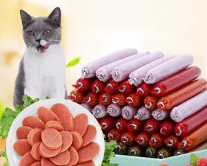 猫咪能否食用火腿肠（探究宠物的健康与饮食）