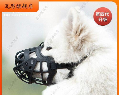 宠物犬打架被咬事故及应对方法（小狗的天性使然）