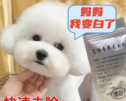 小狗的泪痕去除方法（以宠物为主的清洁技巧）