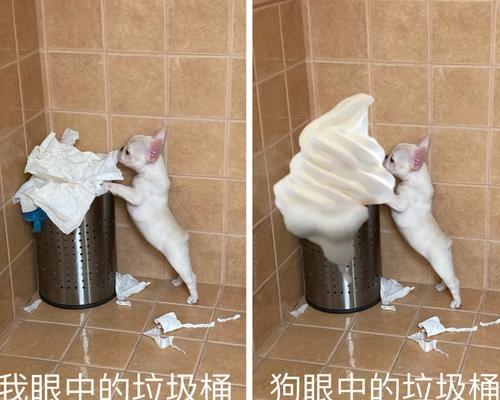 如何训练宠物狗不翻垃圾桶（避免狗狗翻垃圾桶的7种方法）