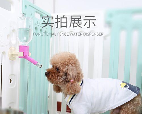 小狗喝多了水应该如何处理（关于小狗喝水的常识与应对方法）