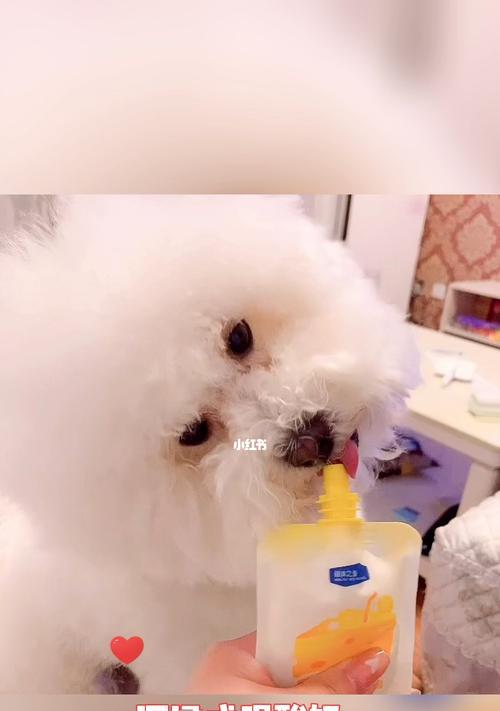 小狗为何要喝酸奶（揭开宠物饮食中的神秘面纱）