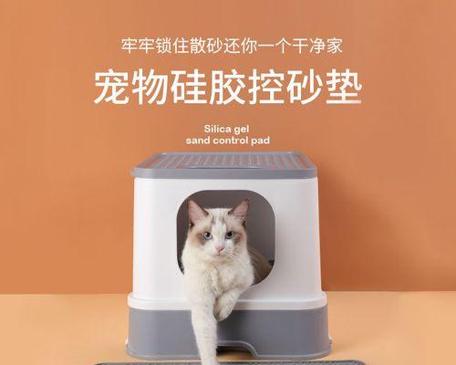 小猫不让摸，你该怎么办（学会与宠物相处的技巧）