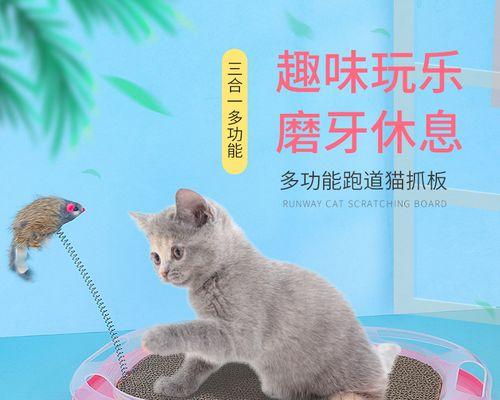 小猫不让摸，你该怎么办（学会与宠物相处的技巧）