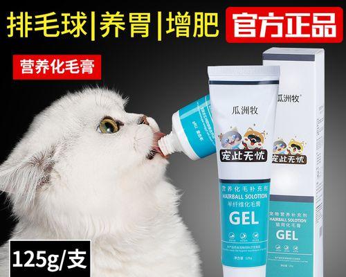 宠物小猫感冒了会呕吐吗（小猫感冒症状及治疗方法解析）