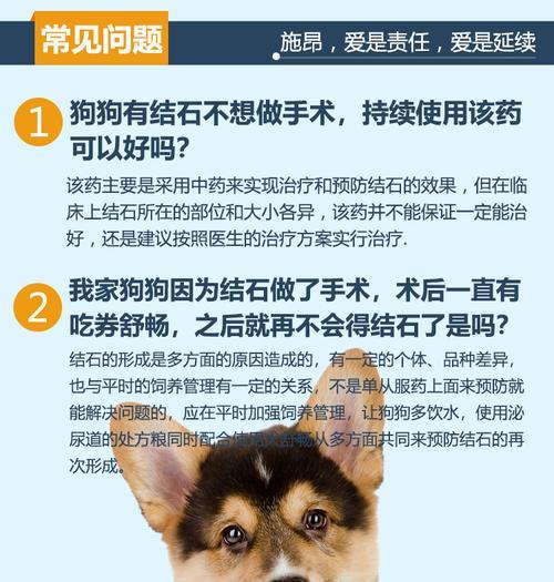 保护宠物健康，远离尿路感染（保护宠物健康）
