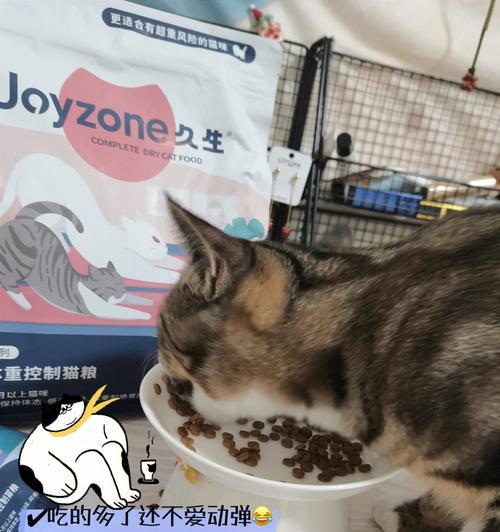 如何帮助宠物小猫增加食量（以小猫食量很小为主题的解决方法）