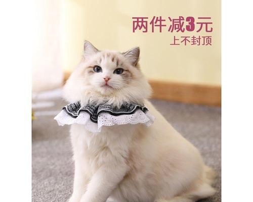 小猫咪洗澡时间长短与频率的科学解析（如何保证宠物健康干净）