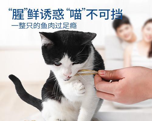 如何为你的猫咪做营养丰富的小鱼餐（以宠物为主）