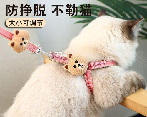新猫入室，小猫遭受攻击（新猫的入侵带来了怎样的危害）