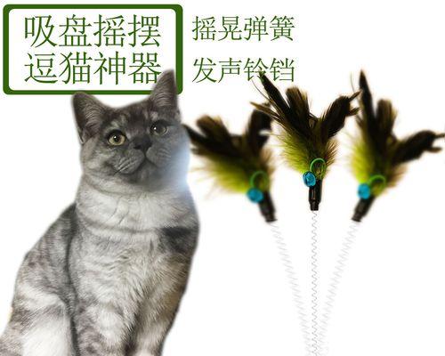 新猫入室，小猫遭受攻击（新猫的入侵带来了怎样的危害）