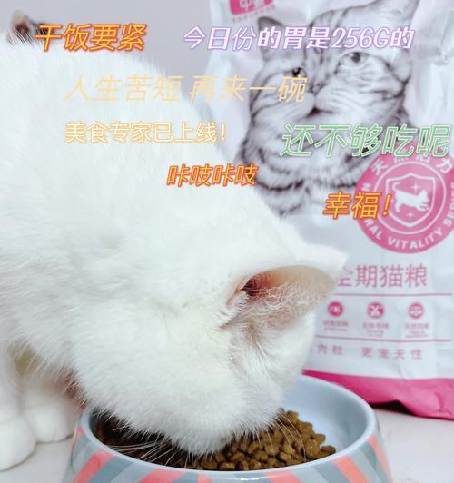 猫咪一月饮食全攻略（如何选择适合猫咪的粮食）