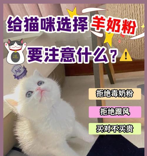 小猫喝羊奶的正确方法（为宠物提供营养均衡的饮食）