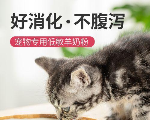 小猫可以喝袋装奶粉吗（宠物主人需要了解的小猫饮食知识）