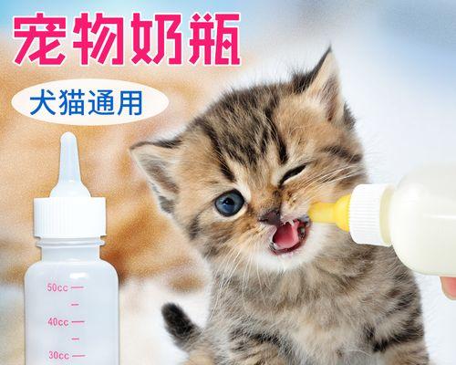 小猫能不能喝牛奶（宠物饮食常识一网打尽）