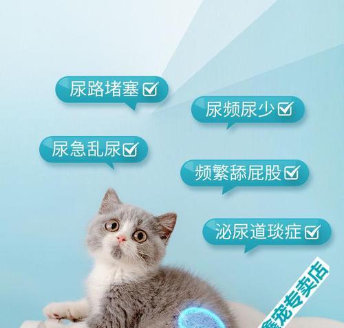 小猫尿路感染的症状与治疗（宠物爱护）