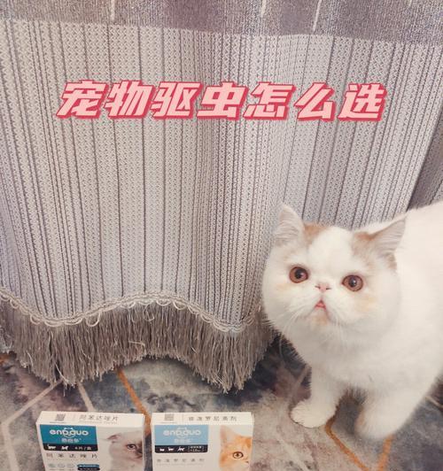 如何正确给宠物猫喂驱虫药（小猫驱虫药的兑水方法）
