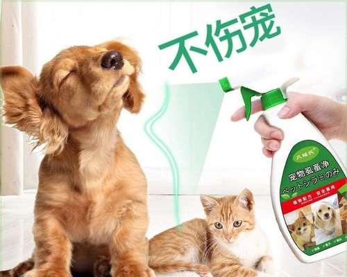 如何消灭小猫身上的跳蚤（掌握正确方法）