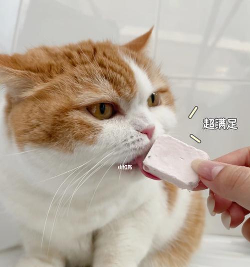 小猫为什么喜欢喝酸奶（探究宠物喜好和饮食习惯）