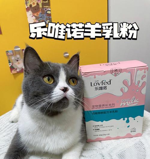 如何正确喂养宠物猫（以小猫羊奶粉为例）