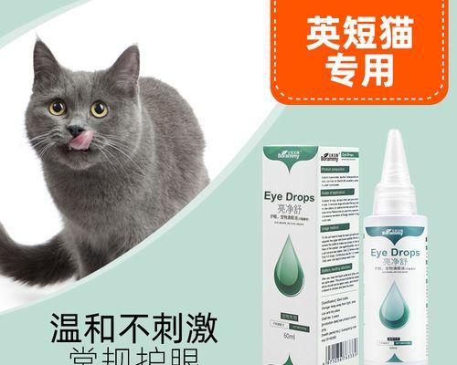 当宠物猫要拉了，主人应该如何应对（养猫必备）