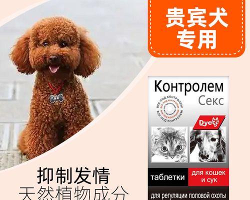 新生狗狗必须打的针及注意事项（为宠物健康着想）