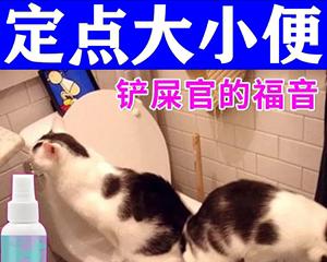 如何治疗雄猫咪尿路感染（药物治疗）