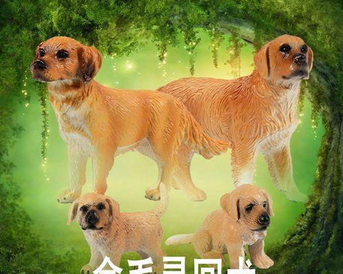 如何训练狗狗成为导盲犬（基于宠物训练的技巧和方法）