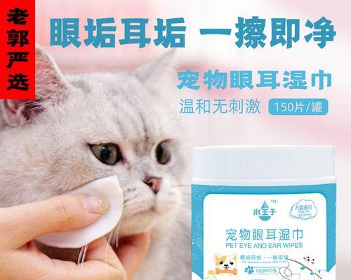 如何清洁宠物猫咪的耳朵（简单有效的耳朵清洁方法）
