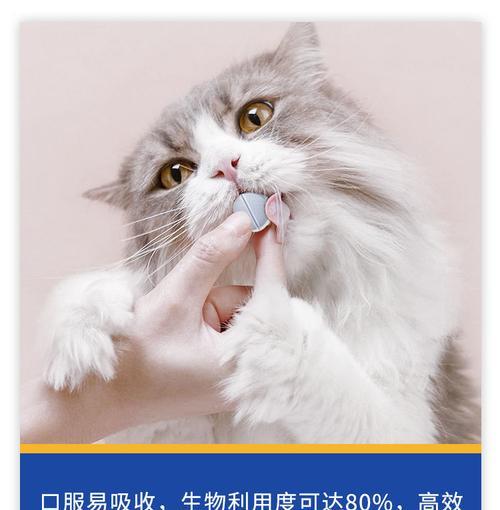 如何辨别猫咪尿路感染（宠物主人必读的猫咪健康知识）