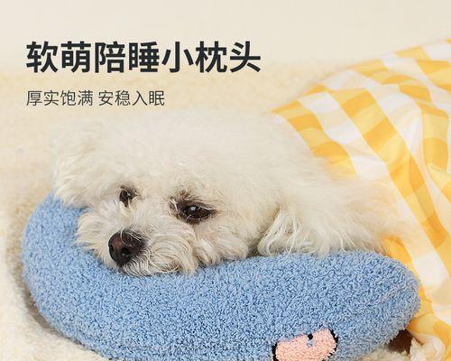 如何判断猫咪怀孕多久了（猫主人必看）