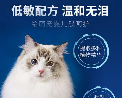 如何判断宠物猫是否脱水（掌握这些方法）