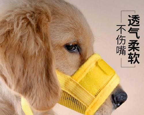 怎样判断宠物狗是否失去生命（如何判断狗狗是否已经死亡及常见的死亡迹象）