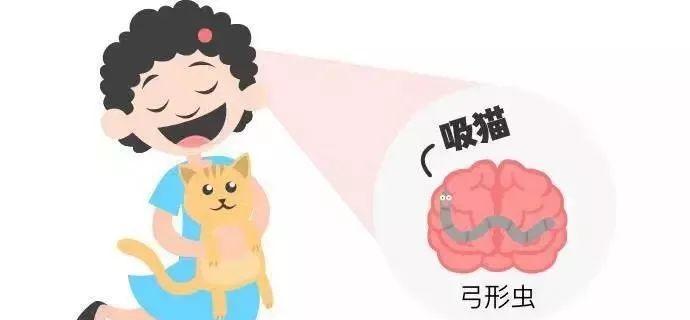 如何有效去除宠物猫体内弓形虫（一起保护我们的毛茸宠物健康）