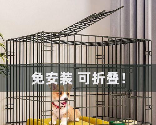 如何训练你的狗喜欢待在笼子里？