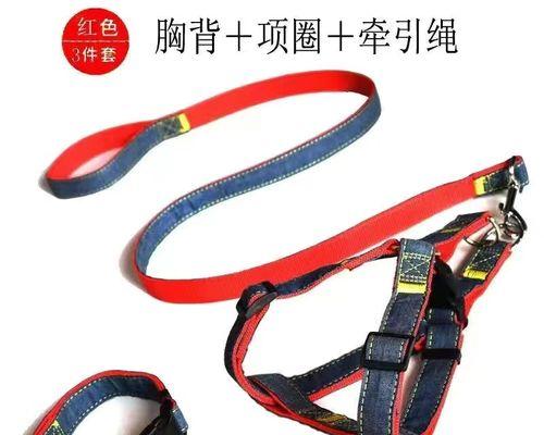 DIY宠物狗链子，轻松制作你的链子（简单易学的绳艺技巧）