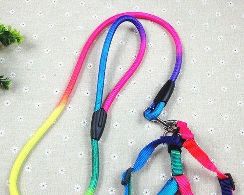 DIY宠物狗链子，轻松制作你的链子（简单易学的绳艺技巧）