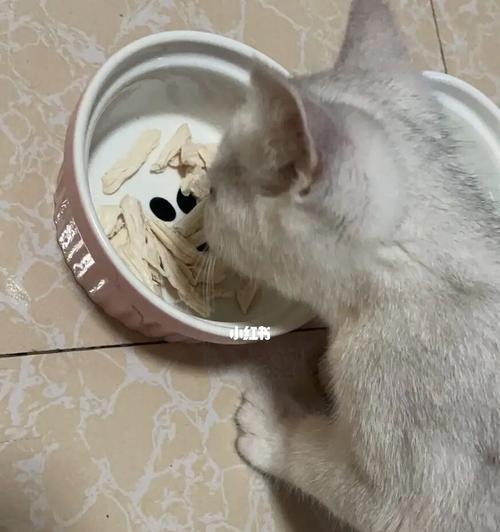3个月的小猫为何不吃猫粮（探究小猫不吃猫粮的原因和解决方法）