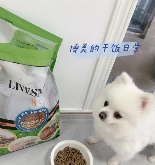 以博美除了狗粮外的饮食之道（宠物也可以品尝美味佳肴）