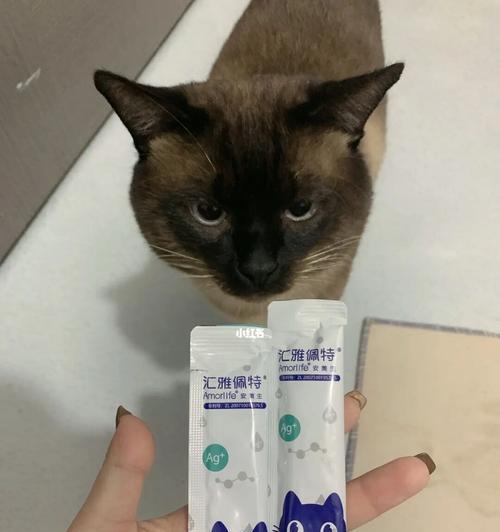 宠物猫咪吃营养膏多久合适（如何保证宠物猫咪健康）