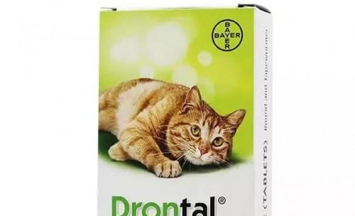 福来恩滴剂帮助小猫摆脱寄生虫问题（福来恩滴剂的使用方法和注意事项）
