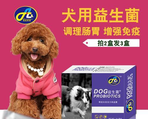 狗便秘呕吐的原因及治疗方法（探讨宠物便秘和呕吐问题）
